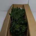 6 FT Pre-lit Christmas Tree, Artificial Xmas Tree with 350 Warm White & Multicolored Lights, 11 Modes, 1000 Branch Tips, Metal Support, Holiday Decoration Fake Tree for Home, Office, Party