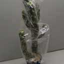 23Inch Artificial Cactus Faux Cacti Fake Cactus Saguaro Potted Plants for Indoor Outdoor Home Offices Store Decoration