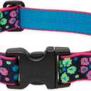 LupinePet Originals 1" Flower Power 16-28" Adjustable Collar for Large Dogs