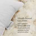 BOLL & BRANCH Down Chamber Pillow, Soft, Standard