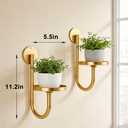 Wall Plant Holder Set of 2 for Outdoor, Metal Hanger | Floating Flower Display Stand for Window, Space Saving & Easy to Assemble (Pots/Plants Not Included),Golden