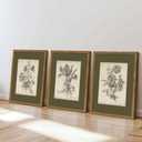 Vintage Floral Wall Art Set of 3, Sketch Sage Green Botanical Canvas Wall Decor Paintings, Retro Minimalist Flower Artwork Posters Prints Pictures for Living Room Bedroom Bathroom 16x24 Inch Framed