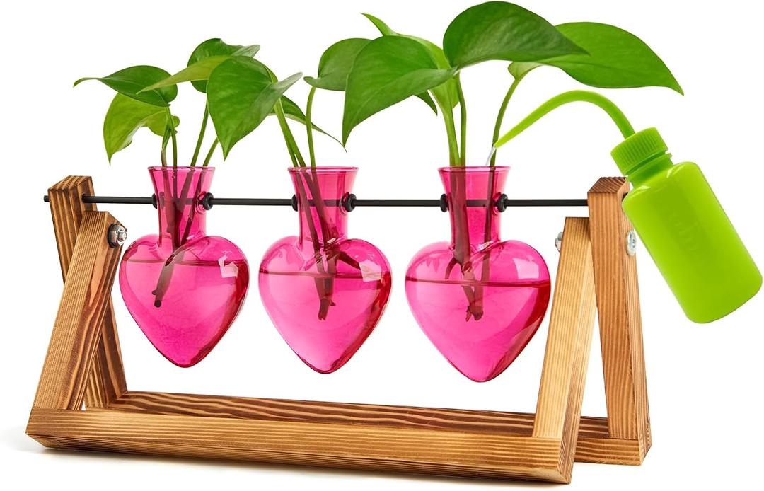 XXXFLOWER Plant Terrarium Propagation Stations Unique Gifts for Women Wife Mom Plant Lovers 3 Heart Shaped Vases for Hydroponics Home Garden Office Decor(Plants NOT Included)