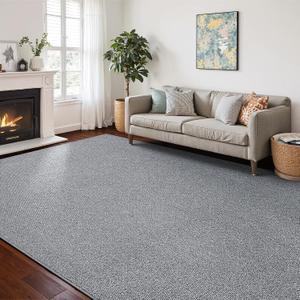 Washable Area Rug 4x6 Feet Grey Non Slip Living Room Kitchen Rugs Indoor Entryway Rug Floor Carpet for Dining Living Room Bedroom