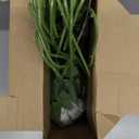 Hotop 20 Pcs Artificial Rose Flowers with Long Stem,Real Touch Silk Realistic Plastic Bouquet Roses Bulk for Home Decor Bridal Wedding Party Table Centerpieces Decorations(Pure White)