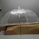 The Weather Station Adult Clear Bubble Rain Umbrella with Dome Canopy and Lightweight Wind and Rain Protection, 52 Inch Arc