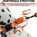 Martingale Collar for Dogs,Reflective Martingale Dog Collars with Quick Release Buckle,Adjustable Nylon No Pull Dog Collar for Walking Training(Blue, Extra Large) (Medium, SUPER-Orange)