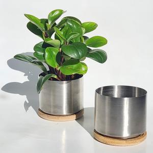 304 Mini Accent Planter (2 Pack) - Pots for Succulents, Cactus, and Small Plants - 3.25 inch diameter Includes bottom watering and saucer. Indoor or Outdoor. Corrosion Resistant.