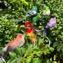 5 x Cat Feather Toys Refill, 5 Pieces Cat Wand Attachments Feathers Bird Toy for Indoor Cats