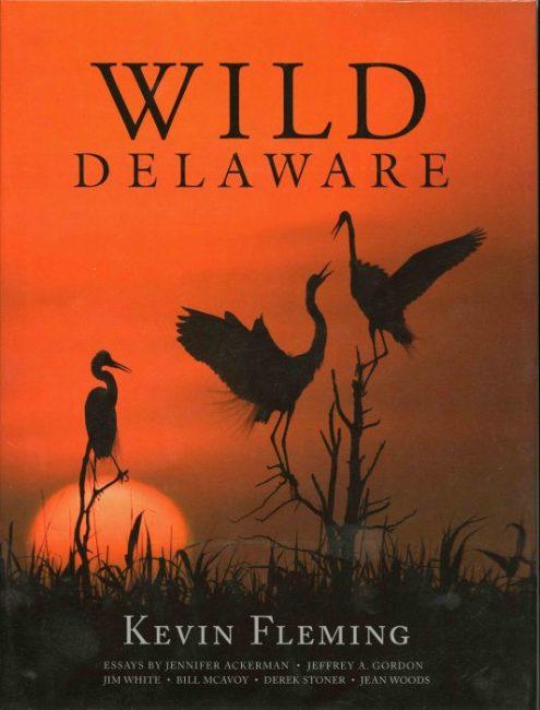 Wild Delaware – The Legacy of the Delaware Coastal Zone Act: Conserving the First State