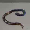 3D Printed Snake, Articulated Flexible 3D Printed Animals Fidget Toy, Realistic Slithering Design,Fidget Toys Gifts for Halloween (24 in, Illusionary)