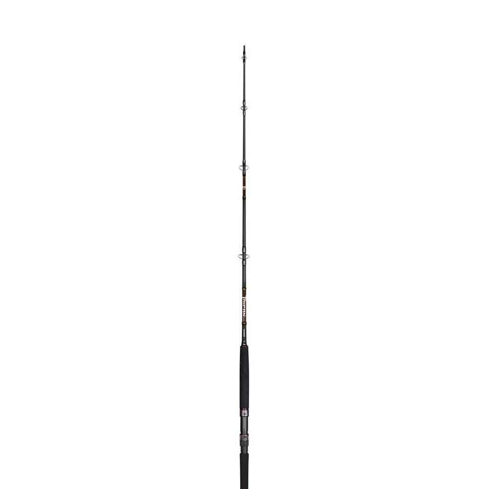 Shimano Taipan Spinning Rod 8' 2-5KG
