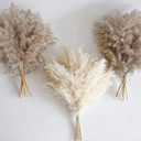 30 PCS Boho Decor, Fluffy Pompas Grass, Natural Dry Pampas Grass Small, Short Pampass Bulk for Boho Room Decor, Coffee Table Decor (17 inch )