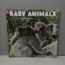 Baby Animals Photo 2026 Wall Calendar