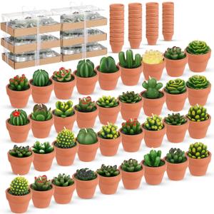 Shihanee 36 Pcs Bulk Decorative Succulent Cactus Tealight Candle Set Handmade Mini Terracotta Clay Holders for Cielito Lindo Baby Shower Wedding Dia De Los Muertos Mexican Party Decorations(Red)