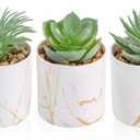 Der Rose 3 Pack Small Fake Plants Succulents Plants Artificial in Pots for Home Office Desk Decor for Women (Green)