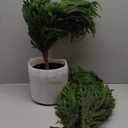 HIKISS Hyper-Realistic Artificial Norfolk Pine Tree 4ft (48")| Lifelike Faux Christmas Tree, UV Rated Fake Potted Plants for Indoor Outdoor Home Front Porch Christmas Dcor & Office Dcor