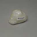 YZHZOM 5.5 to 6.3 Large Natural Conch Shell Fish Tank Hideout Fish Tank House Natural Conch sea Shells for Fish Tank,Air Plant,Home Decorations,DIY Crafts