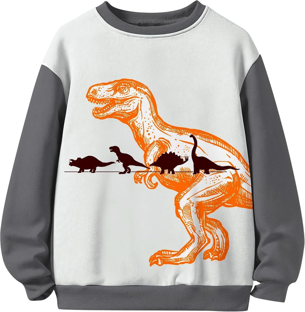 Toddler Boys' Sweatshirts Long Sleeve Crewneck Pullover Cartoon Shirts Warm Graphic Winter Top (3-4T, Yellow Dinosaur)