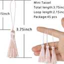 BEL AVENIR 45 pcs Mini Bookmark Tassels 3.75inch/9.5cm Silky Handmade Key Tassel with 2.15inch Cord Loop, DIY Craft Accessory,Tags (Light Pink, 45 pcs)…