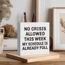 4 x Funny Bosses Day Gifts for Women Men, Boss Gifts for Women Manager Supervisor Leader Lady Famale Male, Funny Office Desk Decor 5 x 5 inch (Crisis01)