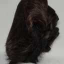 Men Short Brown Wig Handsome Male Daily Costume Synthetic Full Wigs Natural Brown Hair Replacement Wig(Fit 21inch-22.5inch Head Circumference)