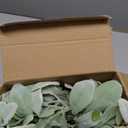 48 Pcs Artificial Lambs Ear Stems Garland Faux Greenery Stems Bulk Flocked Faux Greenery Decor Fake Lambs Ear Picks Plants for Home Wedding DIY Wreath Flower Arrangement