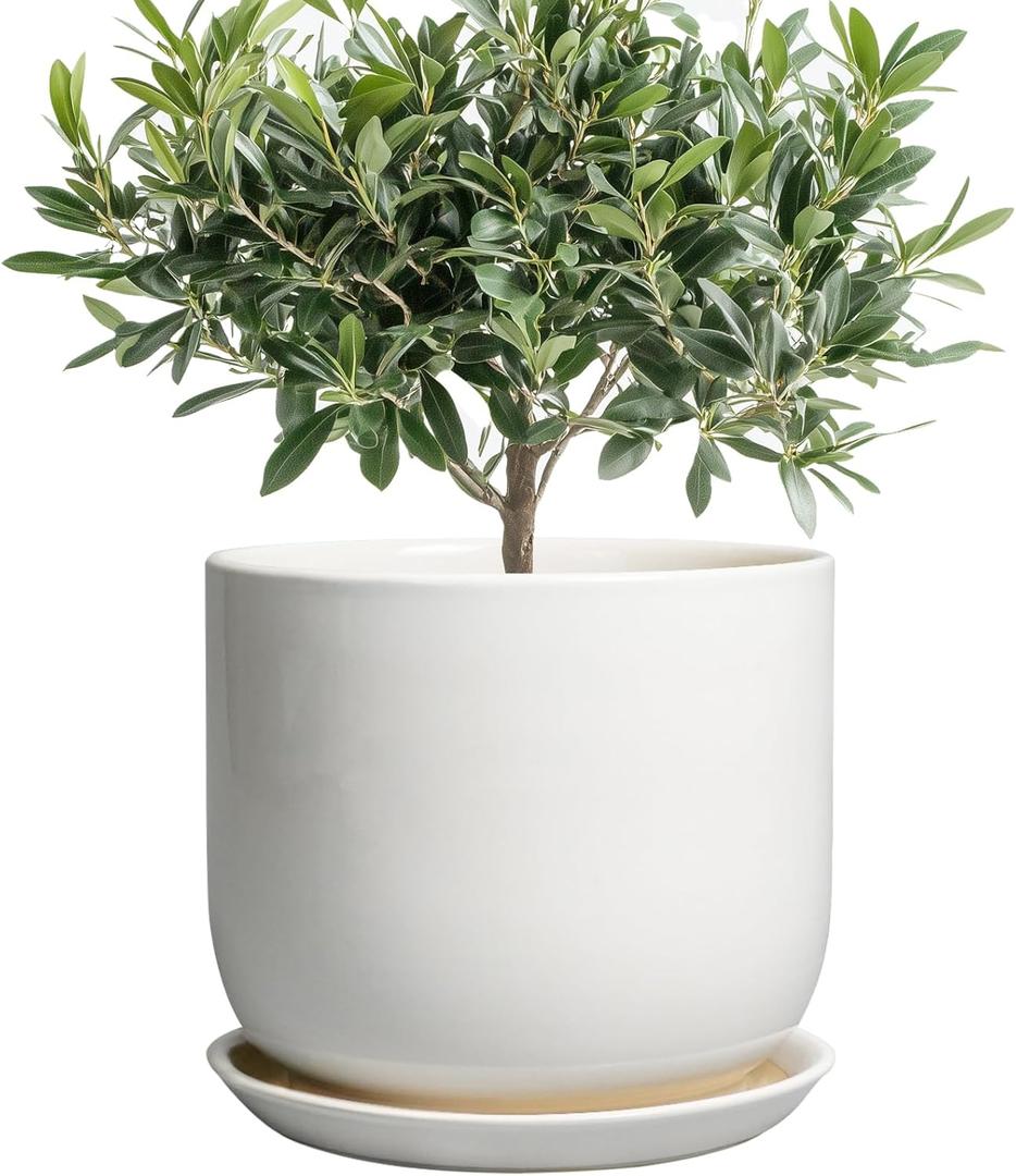 Ceramic Plant Pot - Modern 8 Inch Round Planter for Indoor Outdoor Plants with Drainage Hole and Saucer, Home House Room Office Decor, White