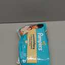 Pampers Baby Diapers  Swaddlers  Size P1, 27 Count, Ultra Absorbent Disposable Preemie Diaper