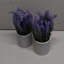 CADNLY Artificial Lavender Plant in Pots - Faux Lavender Flowers Decor  Fake Flowers Purple Decor Plant Potted Bathroom Bedroom Kitchen Farmhouse Home 2 Pack