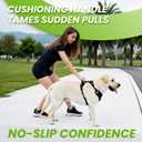 No Pull Dog Harness for Large Dogs, 4 Secure Quick-Release Buckles & 2 Metal Leash Clips, Soft Control Handle, No-Choke Fit for Walking, Training & Everyday Use, Black, L