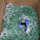 Pre-lit Christmas Wreaths for Front Door 13.7 Inches Christmas Blue Flowers Wreath Decorations with Blue Ball Pine Cones Ornaments 20 LED Lighted Hoop for Xmas Outdoor Wall Window