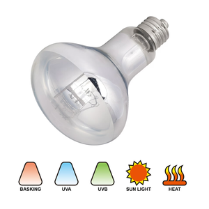 3 Pack 100-Watt Basking Light for Reptile - Heat Lamp Bulbs for Reptiles & Amphibians Broad Spectrum Reptile Light for Glass Terrariums Suitable for Bearded Dragons Light Lizards Iguanas basking Bulb