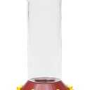 Perky-Pet 209B-1SR Glass Hummingbird Feeders for Outdoors Hanging - 30 oz - Ant & Bee Guarded Red Bird Feeder