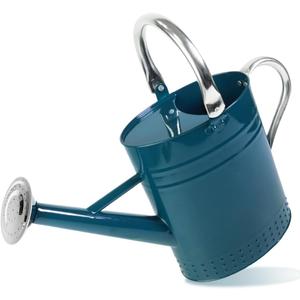 1 Gallon Metal Watering Can with Removable Spout, Nice Galvanized Steel Water Can with Embossed Design for Indoor and Outdoor Plants (Ocean Blue)