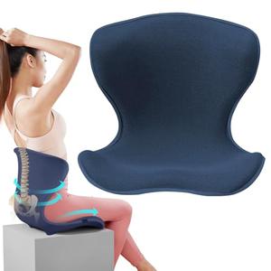 Lumbar Support for Office, Ergonomic Back Cushion for Lower Pain Relief, Improve Posture, Floor Seat, Meditation Chair, Chair Back Support for Computer Chairs, Gaming, Home - Working (Blue)