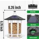 Birdream 2 Pack Solar Bird Feeders for Outdoors Hanging, Assembly Required, 1-Min Easy Setup, Wild Seed Feeders for Cardinals Chickadees and Finches