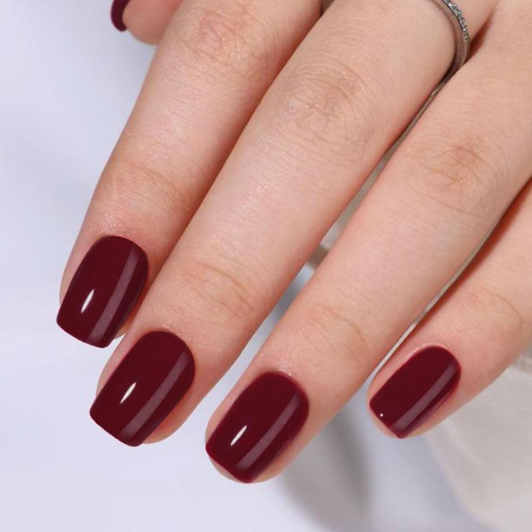 2 x Burgundy Press On Nails Short Square Shape, Glossy Finish Acrylic Fake Nails Kit, Reusable Glue On Nails, Long-Lasting, Natural Stick-On Manicure Set for Women, 24pcs DIY Elegant Nails