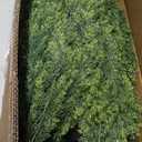 THE BLOOM TIMES Artificial Topiary Cedar Trees Outdoor 4FT Tall 2 Set, Realistic Faux Pine Cypress Shrubs Bushes, UV Resistant Large Fake Evergreen Plants for Front Porch Outside Planter Decor 4 Foot