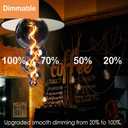 40 Watt Decorative Vintage LED Light Bulbs, Special Huge Bubble 4W LED Filament Edison Bulb,2700K Oversized Electroplated Warm Lights,Dimmable E26 Lamp Base,1-Pack