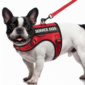 FAYOGOO Service Dog Vest for Small Dogs - Air Mesh Breathble Emotional Support Animal Vest with DIY Patches - Puppy Harness and Leash Set Adjustable Neck and Chest