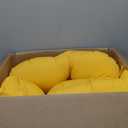 Blazing Needles 19-inch U-Shaped Twill Tufted Dining Chair Cushion (Set of 2) Sunset