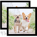 8x8 Picture Frame Set of 2, Black Square Photo Frames High Transparent Wall Gallery Desktop Horizontal Vertical for Canvas Collage Photo Poster Certificate 8 x 8 inches  