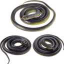 3-Pack Ultra-Realistic Rubber Snakes for Halloween Decorations, Garden Bird Scare, Pranks Large Fake Black Mamba Toy (47 & 31.5) Durable Outdoor/Indoor Props