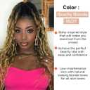 Faux Locs Crochet Braid Hair Bohemian Locs 24 Inches Synthetic Dreads Ombre Braiding Hair Afro Dreadlock 1B/27