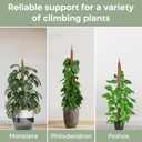 2 Pack 28'' Bendable Moss Pole Monstera Plant Support for Climbing Indoor Plants - Stakes for Potted Climbers - Tall Sticks Indoor Trellis for Houseplants - Accessories for Monstera Pot