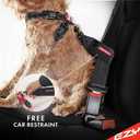 EzyDog Chest Plate No Pull Dog Harness Escape Proof Harness with Reflective Stitching and Comfort Padding for Easy Walks, Training & Control - Car Restraint Included (Medium, Pink)