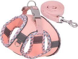 Dog Harness and Leash Set, No Pull Adjustable Reflective Pet Harness, Mesh Step in Vest Harness Easy Walk Dog Harness Outdoor Hiking Training for Dogs, Cats(Pink, M)