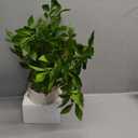 Artificial Potted Plants Indoor,27" Faux Plants Ficus Leaves Trees with Ceramic Pots,Realistic Fake Plant Indoor Potted for Living Room Office Farmhouse Room Bathroom Bedroom Kitchen Plant Decor