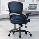 TRALT Office Chair - Ergonomic Office Chair with Back Support for Adults, Pack of 1